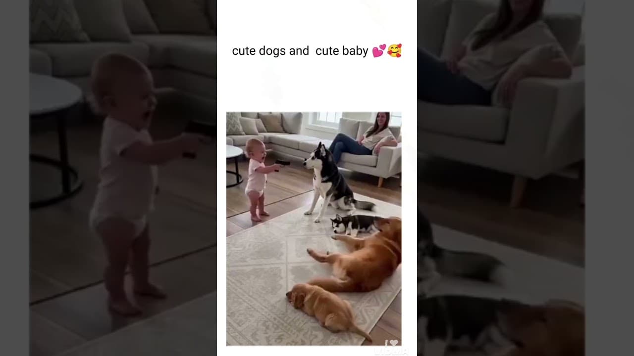 赤ちゃんの合図で犬たちが名演技！かわいいごっこ遊び